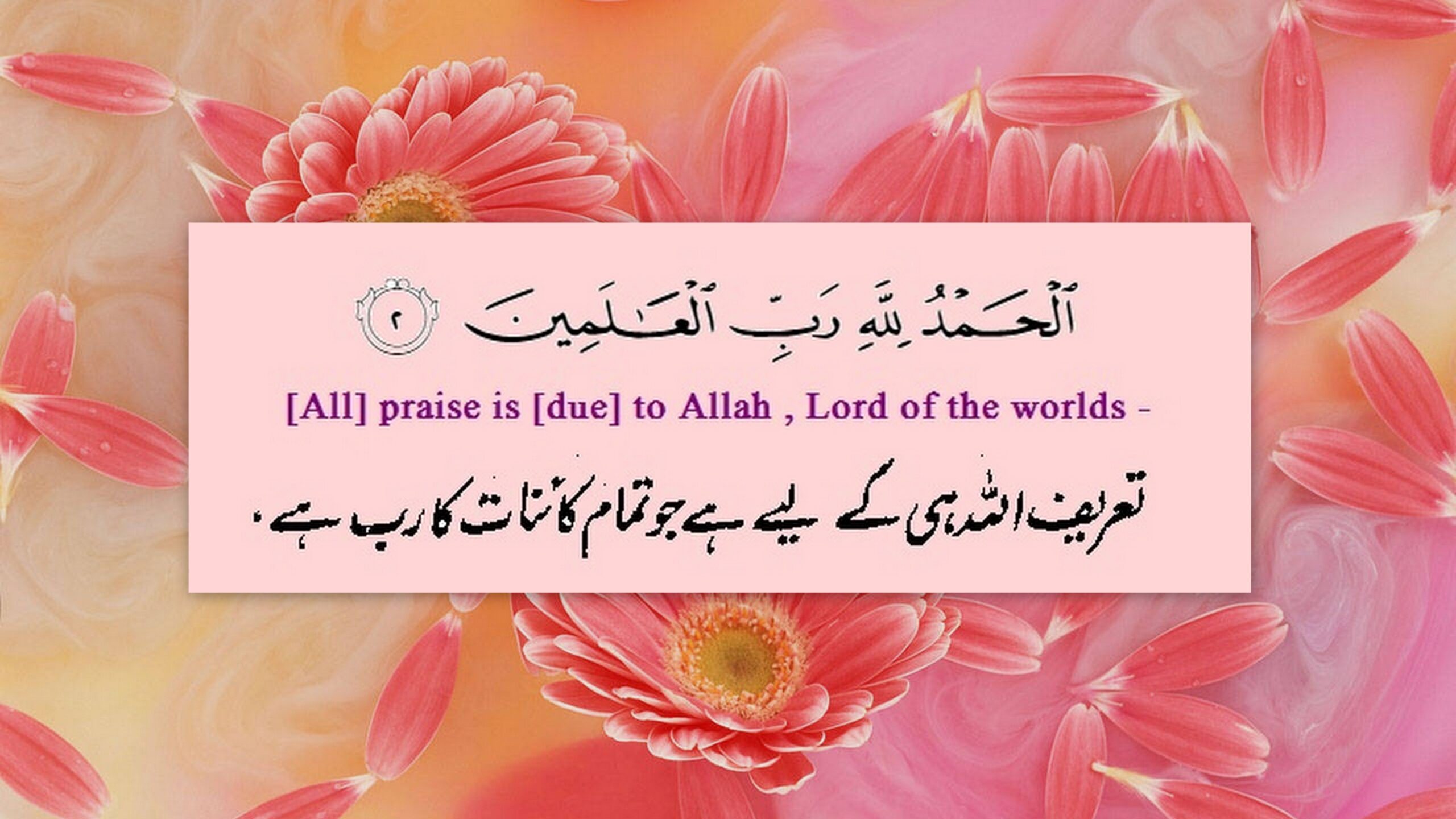 All praise is for Allah—Lord of all worlds,