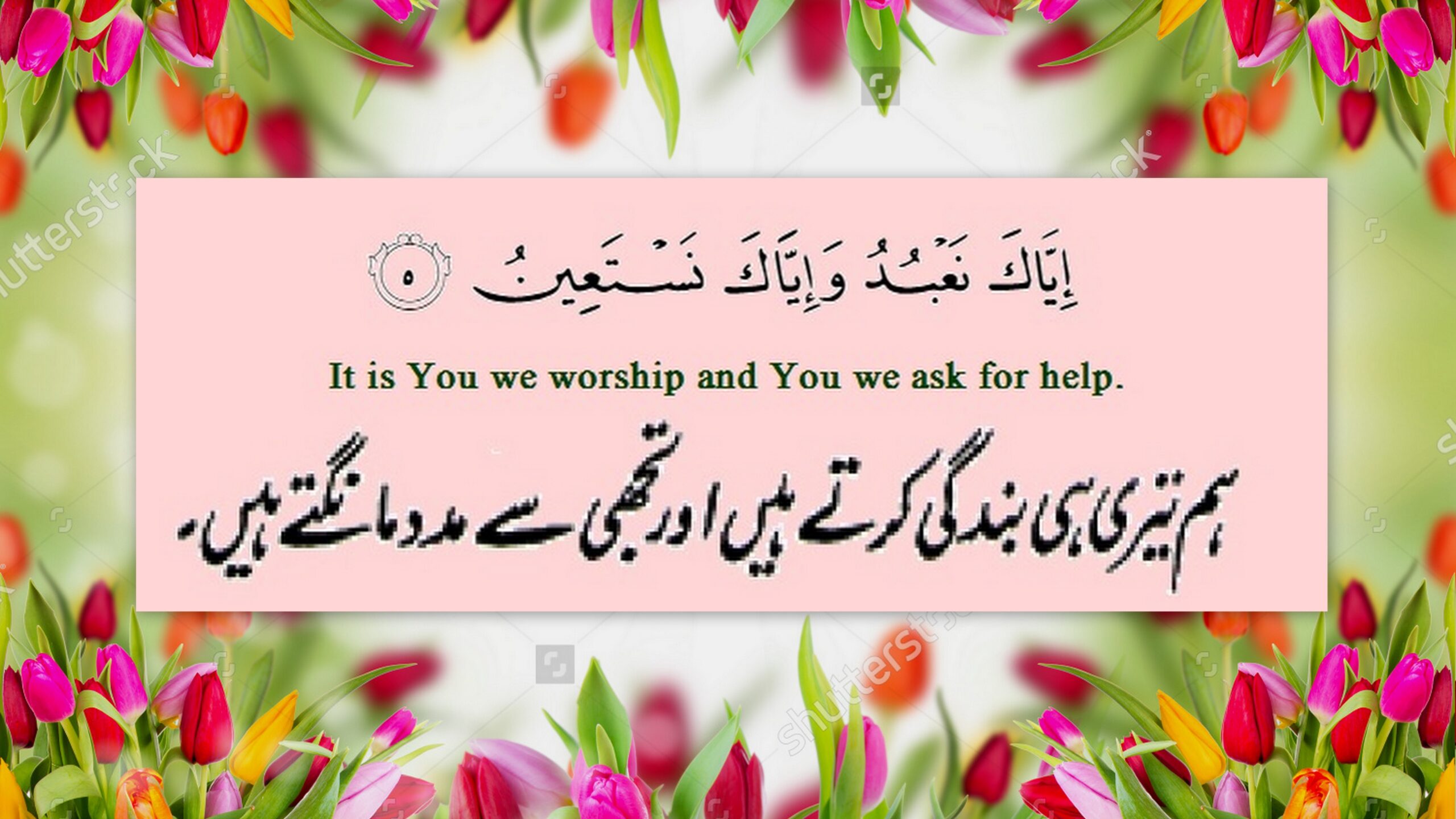 You ˹alone˺ we worship and You ˹alone˺ we ask for help.